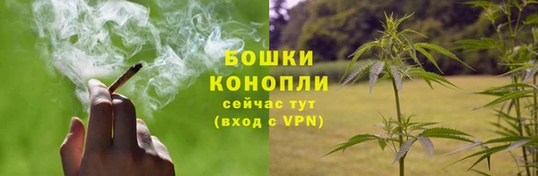 амфетамин Белокуриха